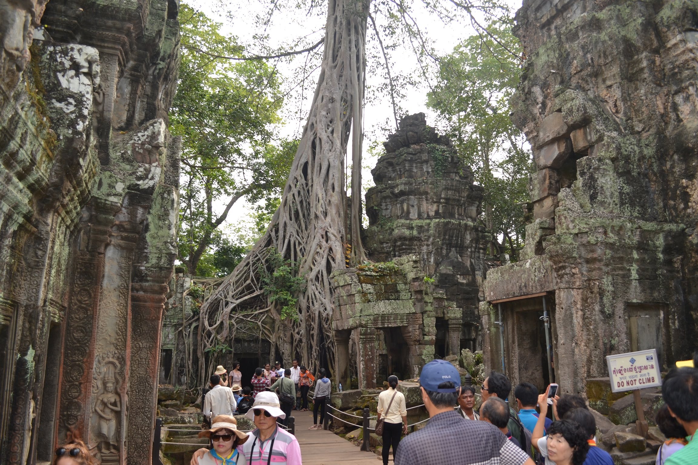 attraction-Ta Prohm Temple Group Day Trips.jpg